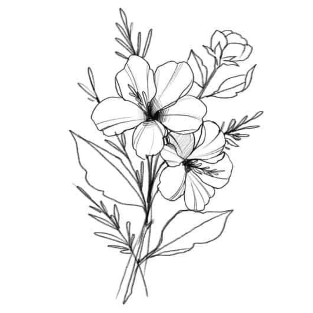 Meet your Poshers! Emily & Elisabeth